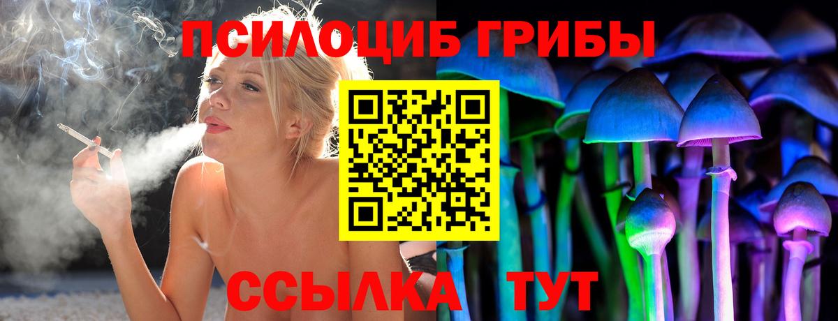 Псилоцибиновые грибы ЛСД  Вход с VPN  Северск 